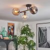 Ripoll Plafondlamp, Kogellampje Amber, Duidelijk, Rookkleurig, 3-lichts