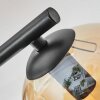 Ripoll Plafondlamp, Kogellampje Amber, Duidelijk, Rookkleurig, 3-lichts