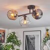 Ripoll Plafondlamp, Kogellampje Amber, Duidelijk, Rookkleurig, 3-lichts