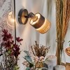 Fallhagen Wandlamp, Muurspot Zwart, 1-licht