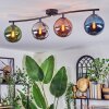 Gastor Plafondlamp, Kogellampje Blauw, Chroom, Groen, Koperkleurig, Rookkleurig, 4-lichts