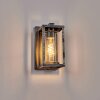 Portalis Wandlamp voor buiten, Wandlamp Zwart, Zilver, 1-licht