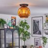 Ripoll Plafondlamp, Kogellampje Goud, 1-licht