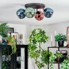 Ripoll Plafondlamp, Kogellampje Blauw, Groen, Koperkleurig, 4-lichts