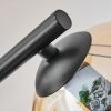 Koyoto Plafondlamp, Kogellampje Amber, Duidelijk, Rookkleurig, 3-lichts