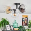 Koyoto Plafondlamp, Kogellampje Amber, Duidelijk, Rookkleurig, 3-lichts