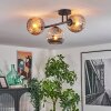 Ripoll Plafondlamp, Kogellampje Amber, Rookkleurig, 3-lichts