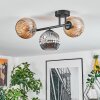 Ripoll Plafondlamp, Kogellampje Amber, Rookkleurig, 3-lichts