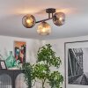 Ripoll Plafondlamp, Kogellampje Amber, Duidelijk, Rookkleurig, 3-lichts