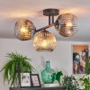 Ripoll Plafondlamp, Kogellampje Amber, Duidelijk, Rookkleurig, 3-lichts