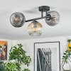 Ripoll Plafondlamp, Kogellampje Amber, Duidelijk, Rookkleurig, 3-lichts