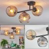 Ripoll Plafondlamp, Kogellampje Amber, Duidelijk, Rookkleurig, 3-lichts