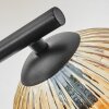 Ripoll Plafondlamp, Kogellampje Amber, Duidelijk, Rookkleurig, 3-lichts