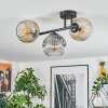 Ripoll Plafondlamp, Kogellampje Amber, Duidelijk, Rookkleurig, 3-lichts