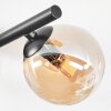 Chehalis Plafondlamp, Kogellampje Amber, Rookkleurig, 4-lichts