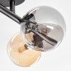 Chehalis Plafondlamp, Kogellampje Amber, Rookkleurig, 4-lichts