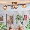 Chehalis Plafondlamp, Kogellampje Amber, Rookkleurig, 4-lichts