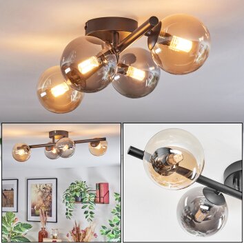 Chehalis Plafondlamp, Kogellampje Amber, Rookkleurig, 4-lichts