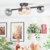 Chehalis Plafondlamp, Kogellampje Amber, Duidelijk, Rookkleurig, 4-lichts