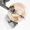 Chehalis Plafondlamp, Kogellampje Amber, Duidelijk, Rookkleurig, 4-lichts