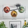 Ripoll Plafondlamp, Kogellampje Goud, Groen, Koperkleurig, 3-lichts