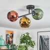 Ripoll Plafondlamp, Kogellampje Goud, Groen, Koperkleurig, 3-lichts