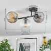 Ripoll Plafondlamp, Kogellampje Amber, Duidelijk, Rookkleurig, 3-lichts