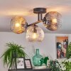 Ripoll Plafondlamp, Kogellampje Amber, Duidelijk, Rookkleurig, 3-lichts