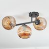 Ripoll Plafondlamp, Kogellampje Amber, 3-lichts