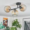 Ripoll Plafondlamp, Kogellampje Amber, Duidelijk, 3-lichts