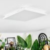 Raimea Plafondlamp, Paneel LED Wit, 1-licht
