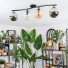 Gastor Plafondlamp, Kogellampje Amber, Duidelijk, Rookkleurig, 4-lichts