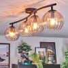 Koyoto Plafondlamp, Kogellampje Amber, Duidelijk, 4-lichts