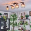 Koyoto Plafondlamp, Kogellampje Amber, Duidelijk, 4-lichts