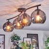 Koyoto Plafondlamp, Kogellampje Rookkleurig, 4-lichts