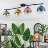 Koyoto Plafondlamp, Kogellampje Blauw, Goud, Groen, Duidelijk, Koperkleurig, 4-lichts