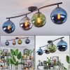Gastor Plafondlamp, Kogellampje Blauw, Chroom, Groen, Rookkleurig, 4-lichts