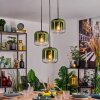Lauden Hanglamp, Hanglamp Groen, Duidelijk, 3-lichts