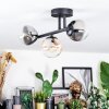 Chehalis Plafondlamp, Kogellampje Amber, Duidelijk, Rookkleurig, 3-lichts