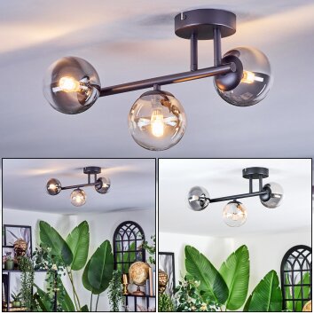 Chehalis Plafondlamp, Kogellampje Amber, Duidelijk, Rookkleurig, 3-lichts