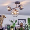 Chehalis Plafondlamp, Kogellampje Amber, Duidelijk, Rookkleurig, 3-lichts