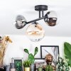 Chehalis Plafondlamp, Kogellampje Amber, Duidelijk, Rookkleurig, 3-lichts