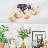 Chehalis Plafondlamp, Kogellampje Amber, 4-lichts