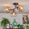 Ripoll Plafondlamp, Kogellampje Amber, Duidelijk, Rookkleurig, 3-lichts