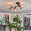 Ripoll Plafondlamp, Kogellampje Amber, Duidelijk, Rookkleurig, 3-lichts