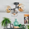 Ripoll Plafondlamp, Kogellampje Amber, Duidelijk, Rookkleurig, 3-lichts