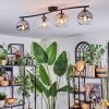 Koyoto Plafondlamp, Kogellampje Amber, Duidelijk, Rookkleurig, 4-lichts