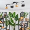 Koyoto Plafondlamp, Kogellampje Amber, Chroom, Rookkleurig, 4-lichts
