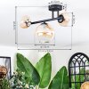 Chehalis Plafondlamp, Kogellampje Amber, Duidelijk, 3-lichts