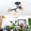 Chehalis Plafondlamp, Kogellampje Amber, Duidelijk, 3-lichts